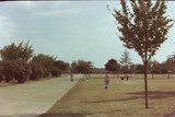 Bessingby Park In 1976 3