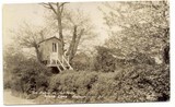 Wood Lane Tree House