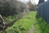 The Grand Union Canal Feeder From Ruislip Lido 66